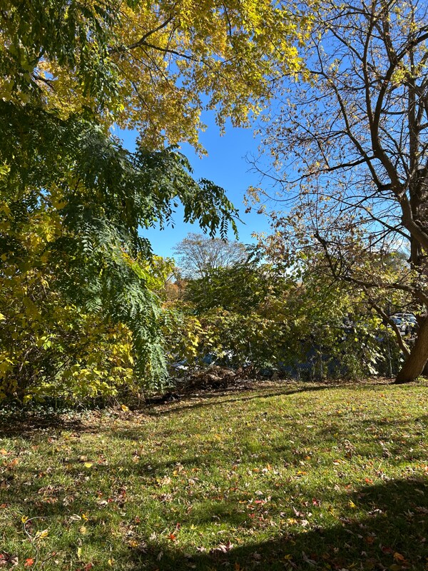 Building Photo - 215 W 1st St S