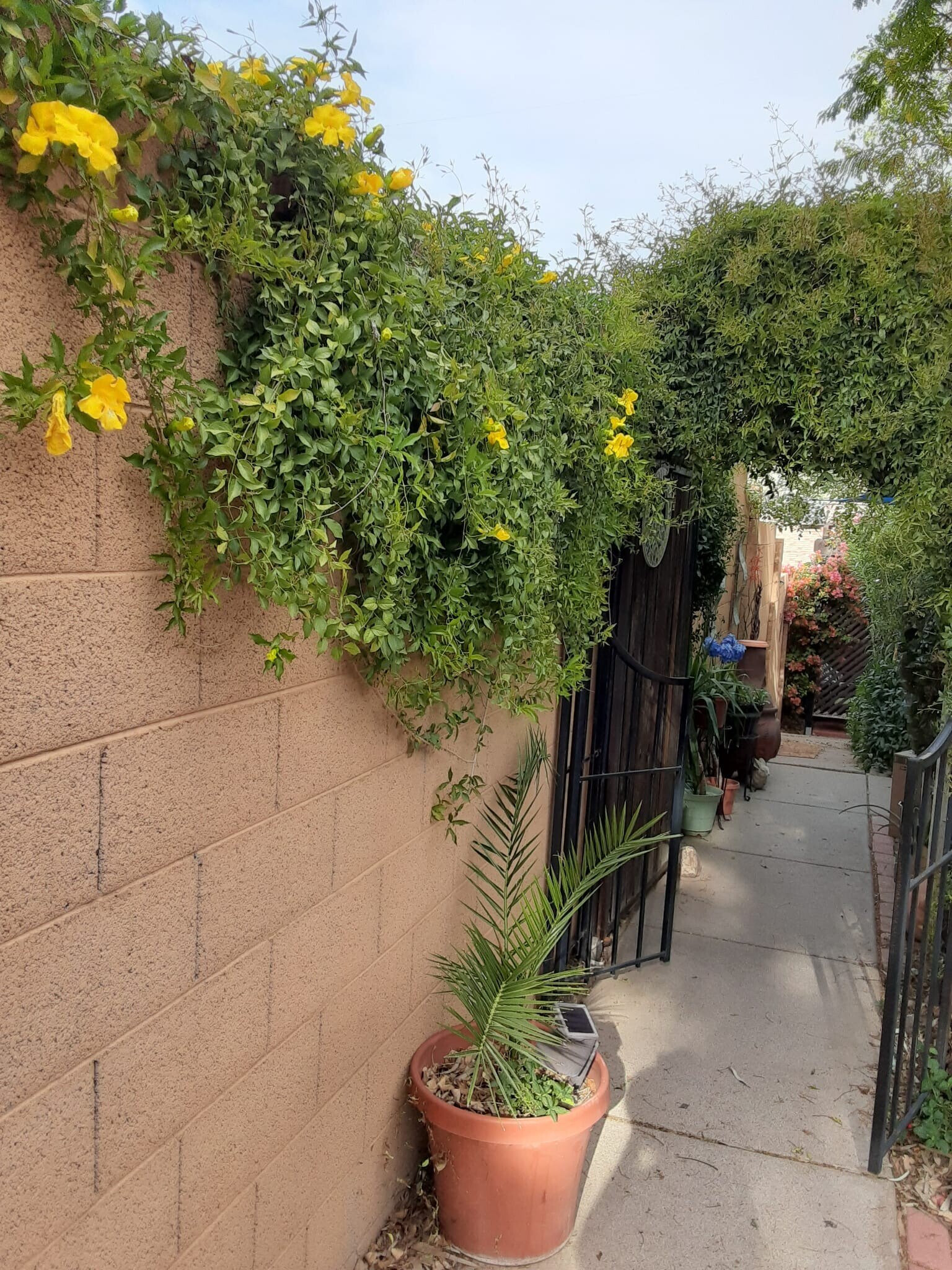 Building Photo - 13223 N 20th St