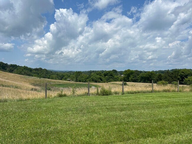 Building Photo - 4 Bedroom / 3 Bath One Level Home Kingsport TN