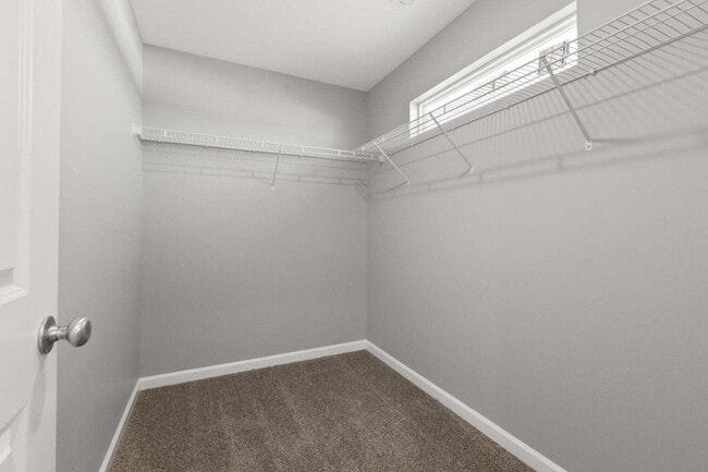 Building Photo - 500 Cripple Creek Cir
