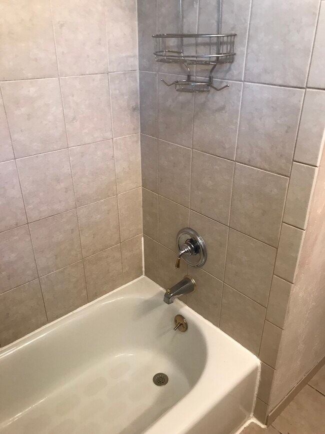 Building Photo - 518 E Cayuga St