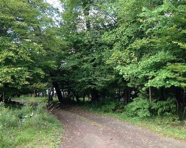 Building Photo - Cozy 3-Bedroom Home with Private Yard in Livingston Manor for November 1st!