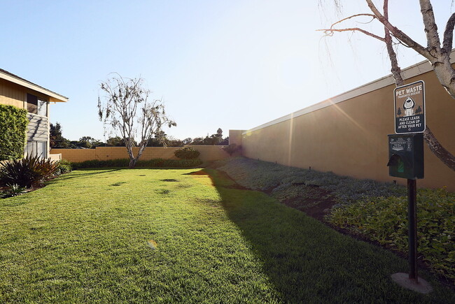 Building Photo - The Lofts at Pinehurst