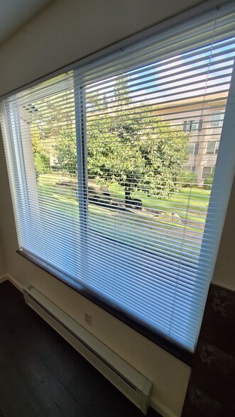 View From Living Room - 4420 146th Place Northeast