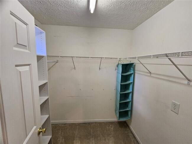 Building Photo - 237 Osmanthus Way