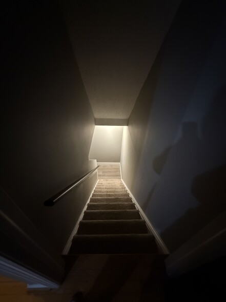 Basement stairs - 12400 Morning Light Ter