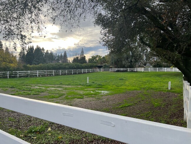 Building Photo - Classic Granite Bay Ranch Style 3/2/3 w Pasture