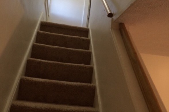 Steps - 144 Alexander Ave