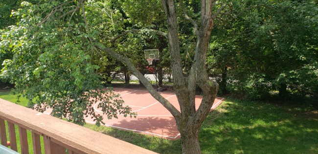 Building Photo - 10101 Palamar Dr