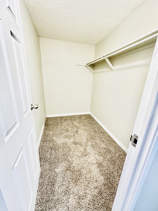 Experience the luxury of ample storage with this bright and spacious walk-in closet. - WILLOW RUSH