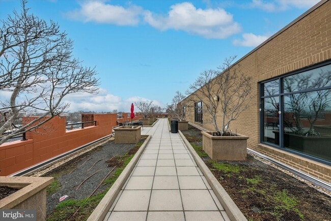 Building Photo - 1111 Oronoco St