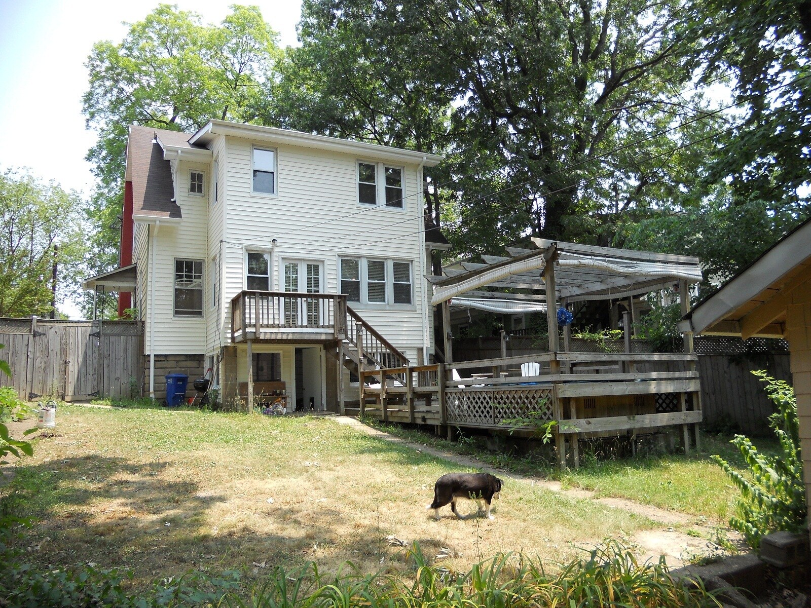 Back yard - 6604 1st St NW