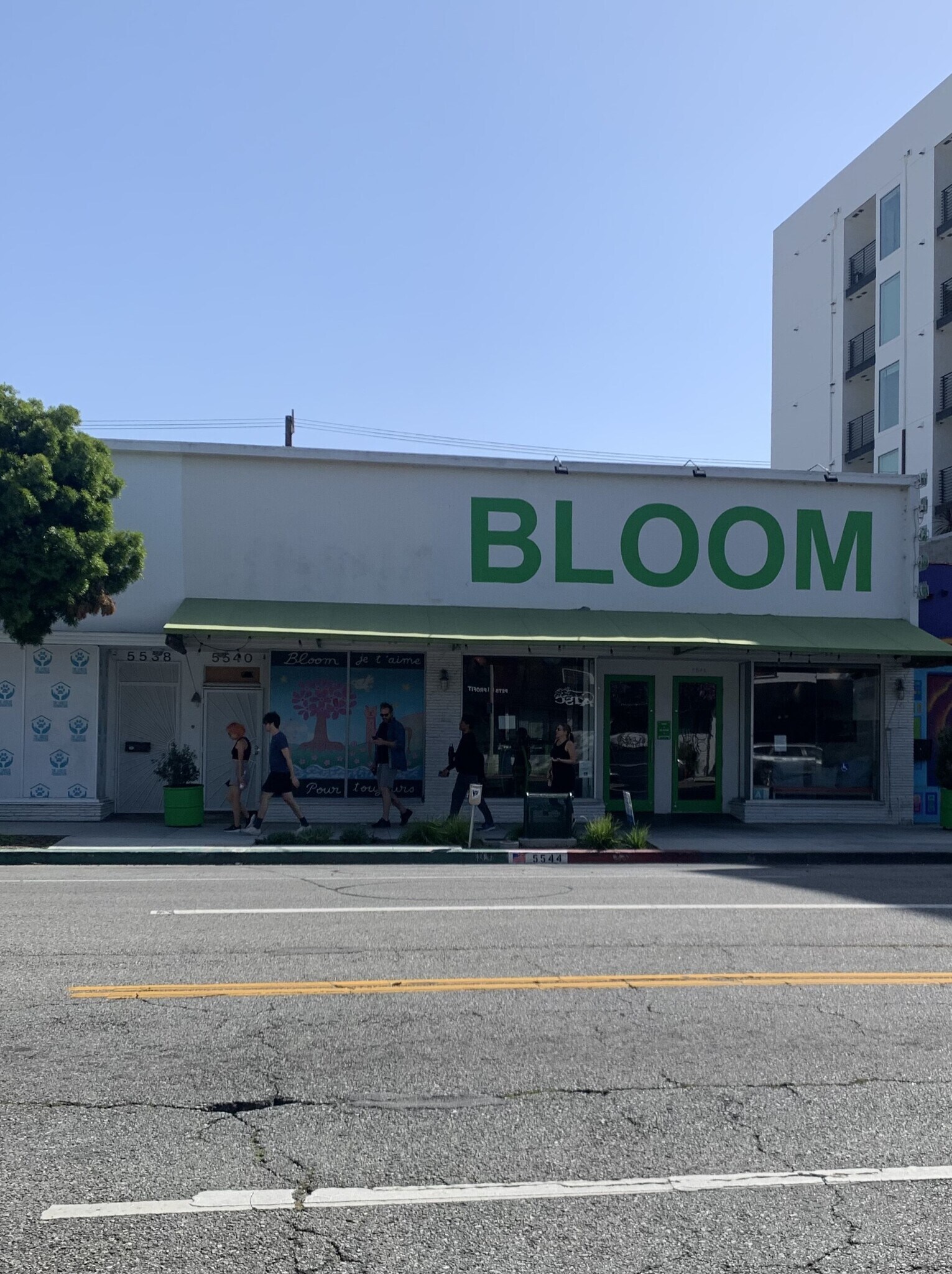 Building Photo - 1540 S Fairfax Ave