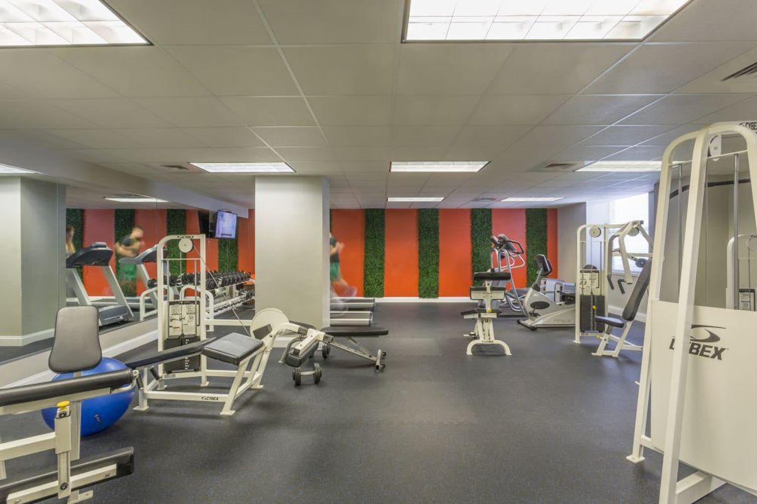 Building Photo - 925 Common St