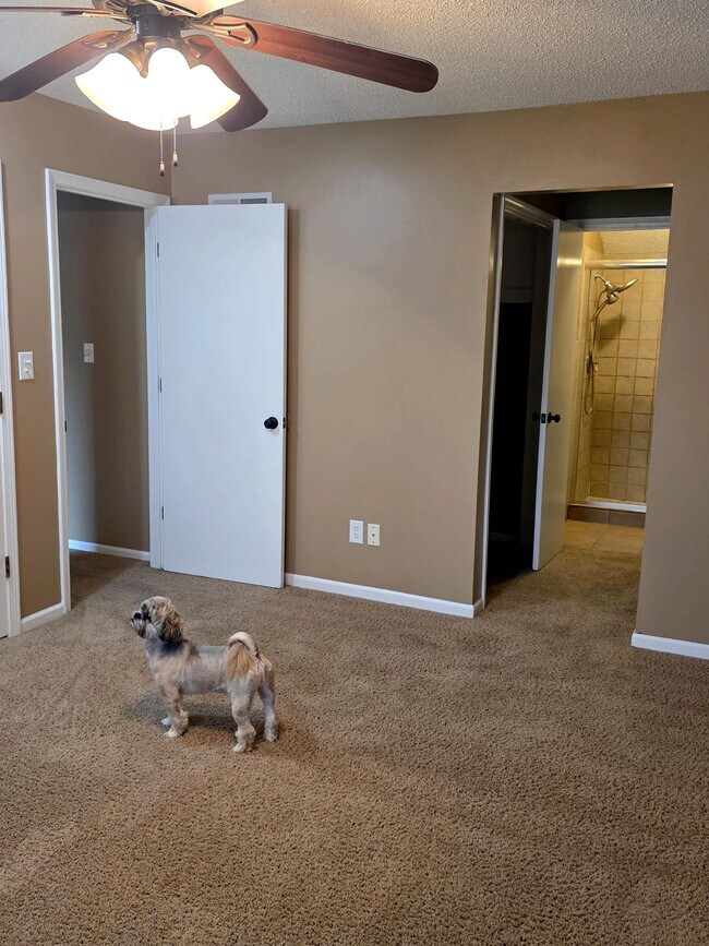 Building Photo - 807 Panther Valley