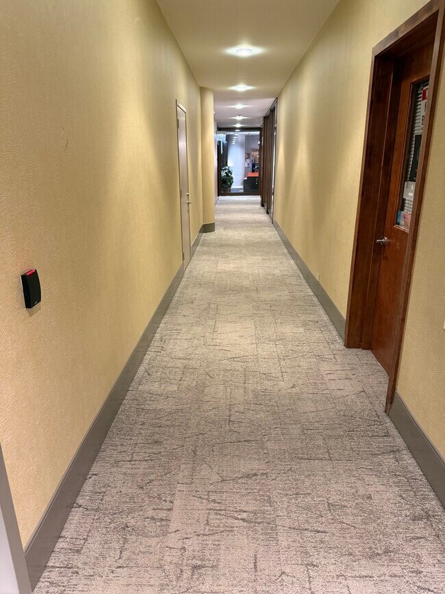 Building Photo - 505 N Lake Shore Dr