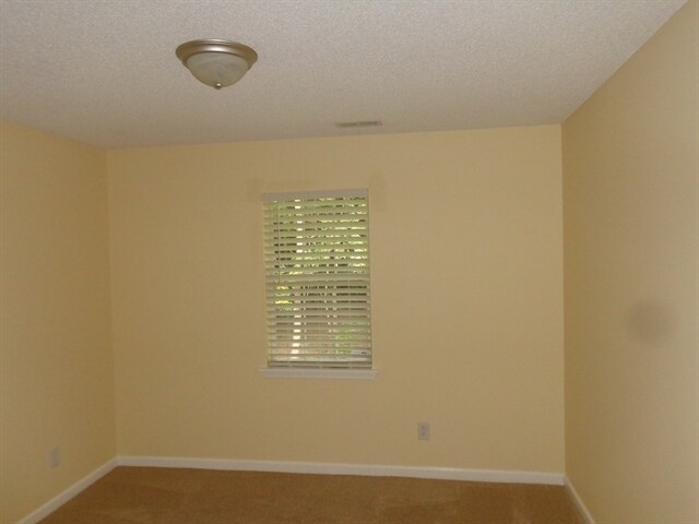 Building Photo - 1117 Capps Hollow Dr