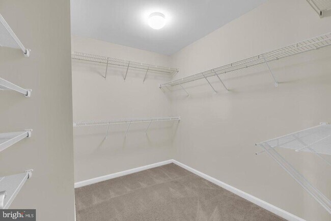 Building Photo - 25284 Arrowroot Terrace
