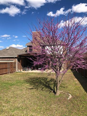 Building Photo - 1281 Stanford Dr