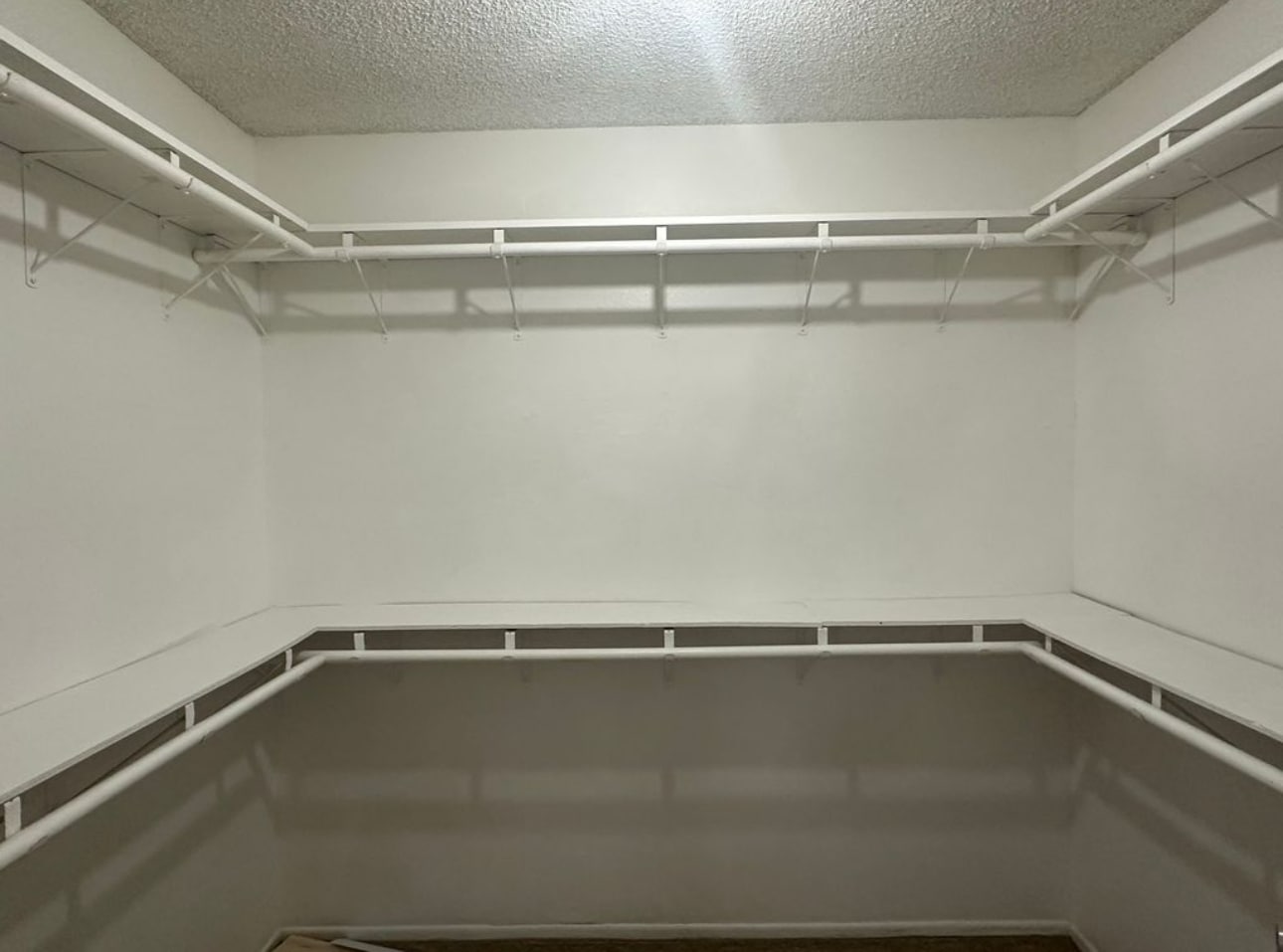 Building Photo - 1602 Viola Pl
