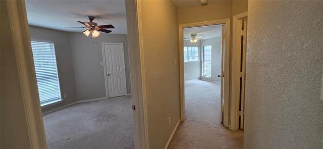 Building Photo - 4514 Lakepointe Ave