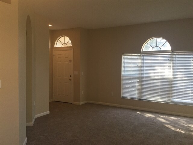 Building Photo - 3709 Cinnamon Fern Loop