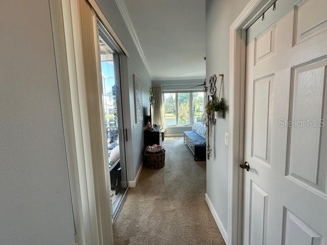 Building Photo - 8734 52nd Ave E