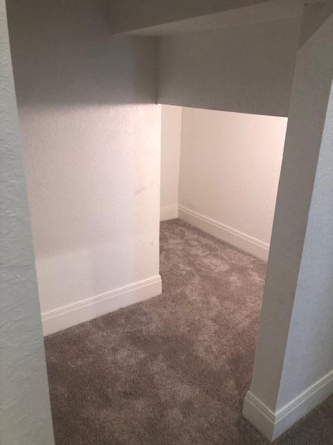 Building Photo - 307 Orleanian Dr
