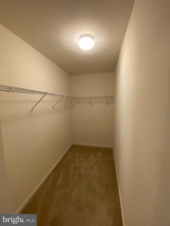 Building Photo - 104 Brasstown Loop