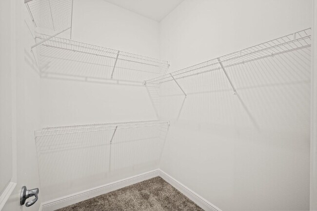 Building Photo - Gorgeous 4BR/3BA home in Island Forest Preserve