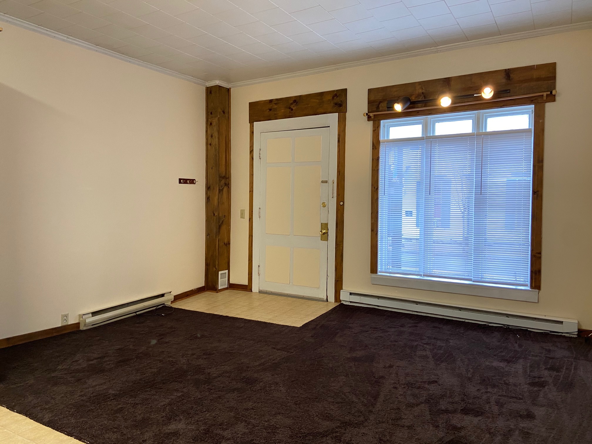 Living Room - Unit 209 - 209 E Water St