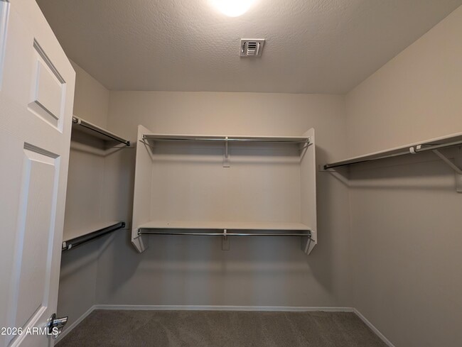 Building Photo - 5631 Cinder Brk Wy