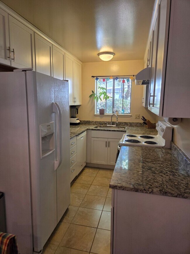 Building Photo - 1562 Dolphin Dr