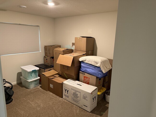 Building Photo - 1038 White Tail Ln