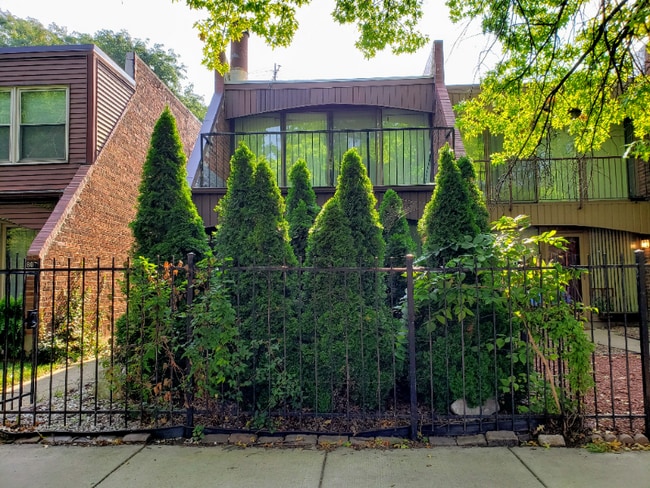Building Photo - 809 S Laflin St