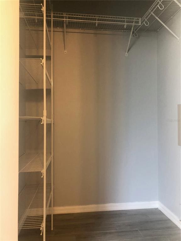 Building Photo - 10303 Beneva Dr