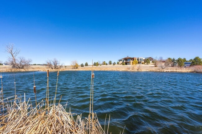 Building Photo - Expansive Home in Secluded Neighborhood in Northern Colorado!