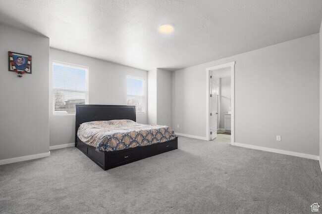 Building Photo - 13099 Twisted Oaks Dr