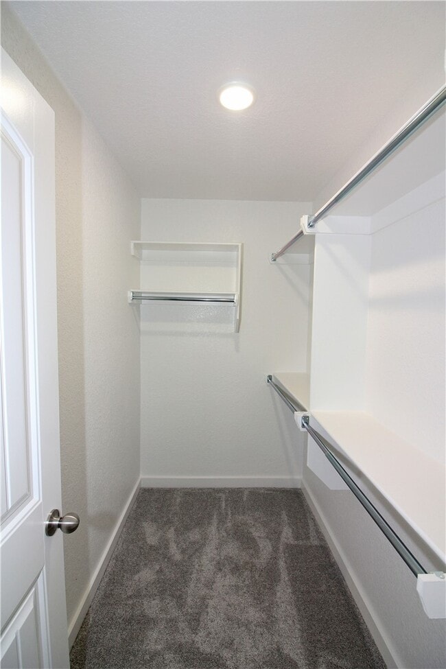 Building Photo - 411 Barbet Dr