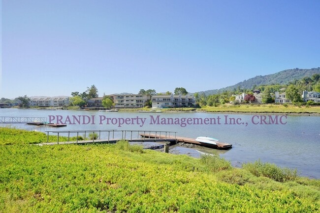 Building Photo - 2 Bedroom Condo with Waterfront Mt Tam Views