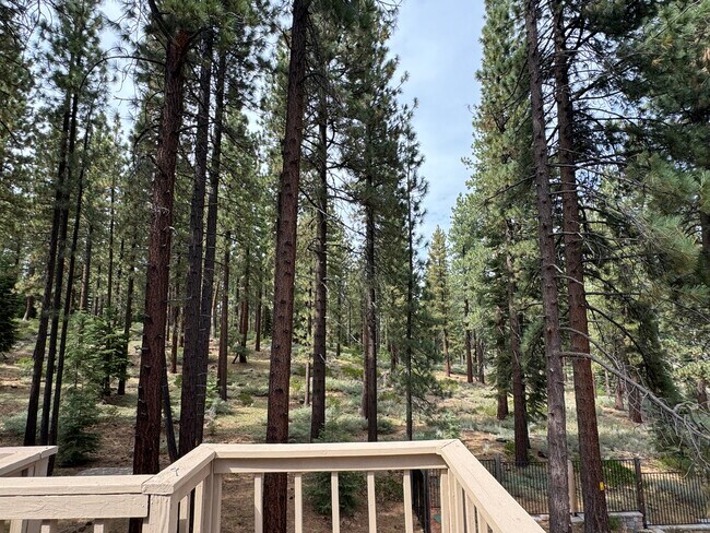 Building Photo - 1103 Sundown Trail