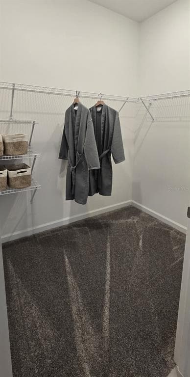 Building Photo - 4244 St Thomas Wy