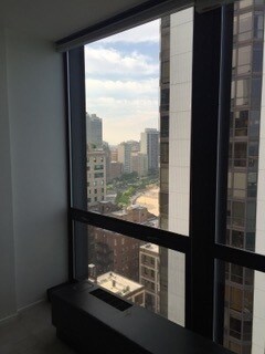 Building Photo - 910 N Lake Shore Dr