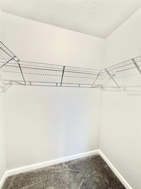 Building Photo - 1156 Crk Vly Ct