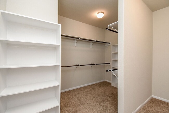 Building Photo - 4442 Buentello Dr