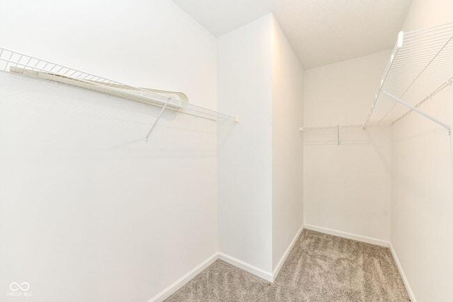 Building Photo - 291 Limerick Ln