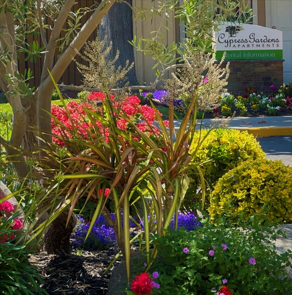 Building Photo - CYPRESS GARDENS APARTMENTS