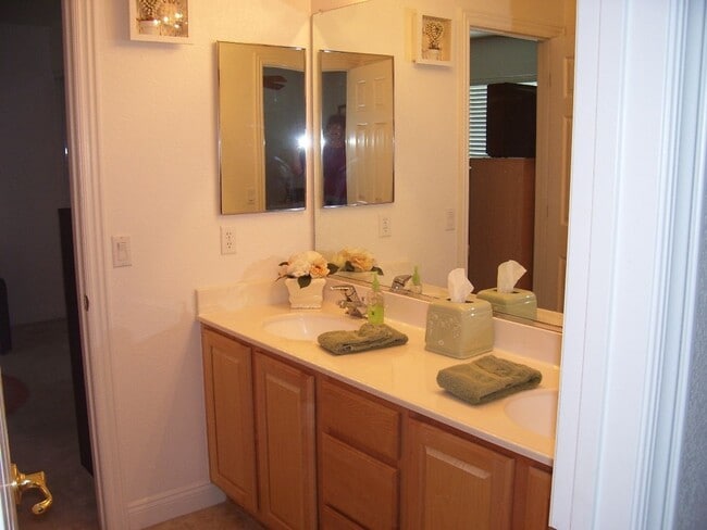 Building Photo - LACEBARK PINE