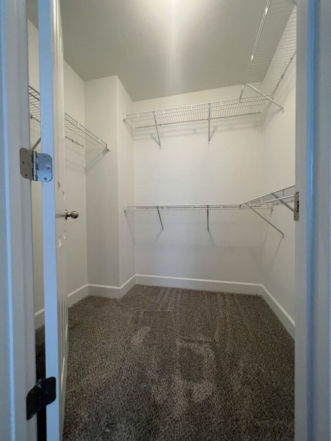 Building Photo - 5541 Prada Dr