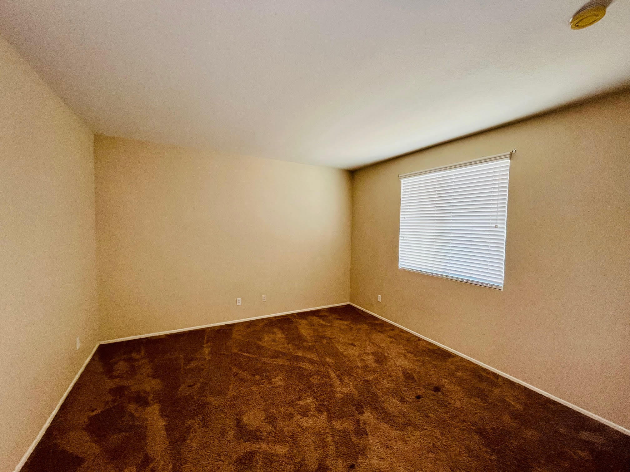 Building Photo - 4117 Pacific Star Dr